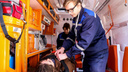 В Госдуме предложили направлять врачей скорой помощи на курсы самообороны