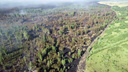 В Зауралье ликвидировали пожар площадью больше 600 гектаров
