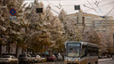 К Новосибирской области приближаются морозы с сильным ветром — температура опустится до -12 градусов