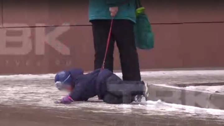 Пожилая женщина протащила ребенка по асфальту на поводке. Теперь ее ищет полиция
