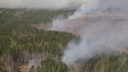 В Зауралье растёт площадь лесных пожаров