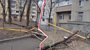 В центре Ростова рухнувшее дерево перерубило газопровод
