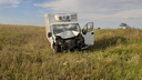 В Челябинской области «Газель» насмерть сбила водителя иномарки, стоявшего на обочине