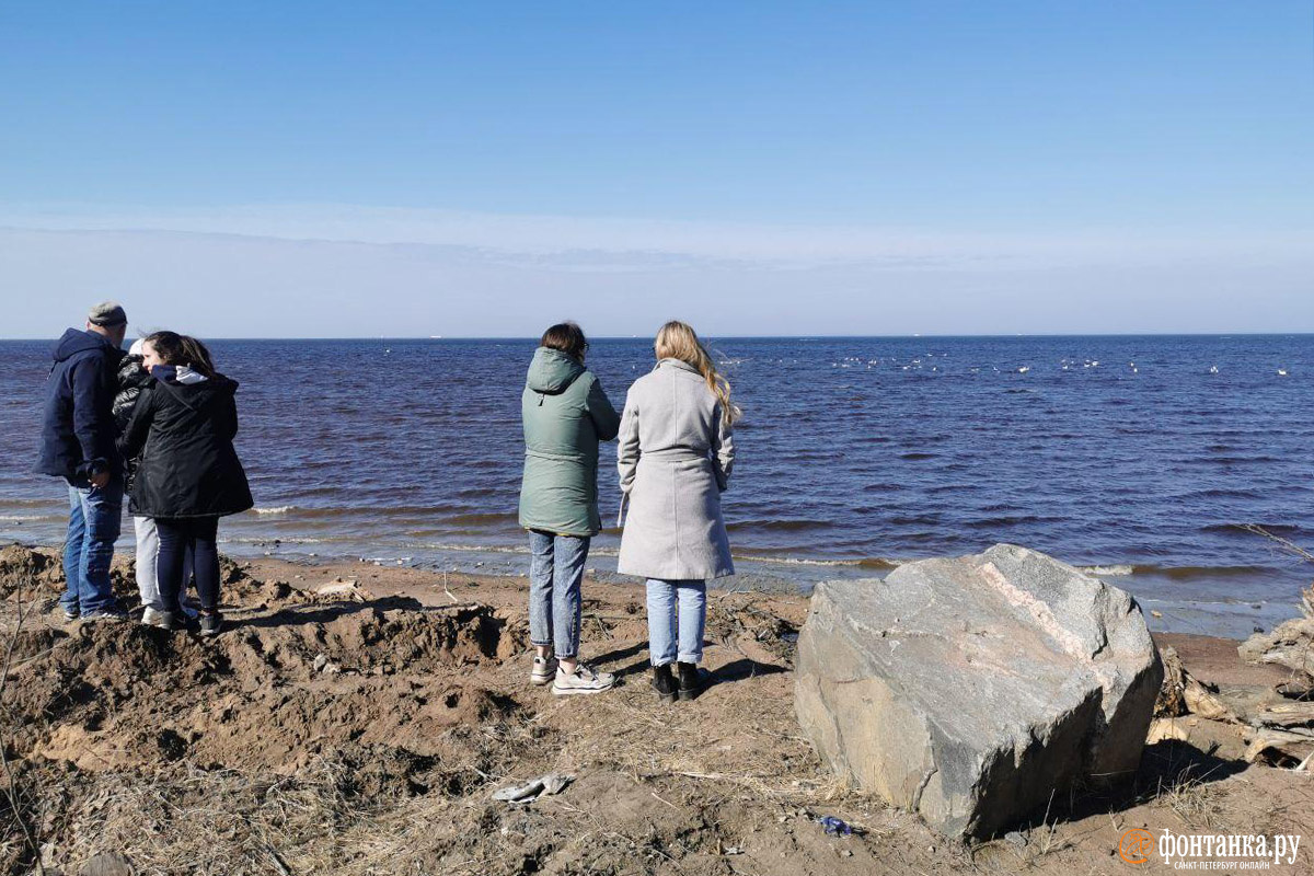Побережье Финского залива в районе Большой Ижоры