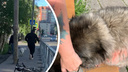 Житель Архангельска безнаказанно распыляет в лицо прохожим перцовую смесь, бьет детей и красит собак