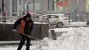 На дороги вывели 250 машин: мэр Новосибирска рассказал, как город будет бороться со снегом
