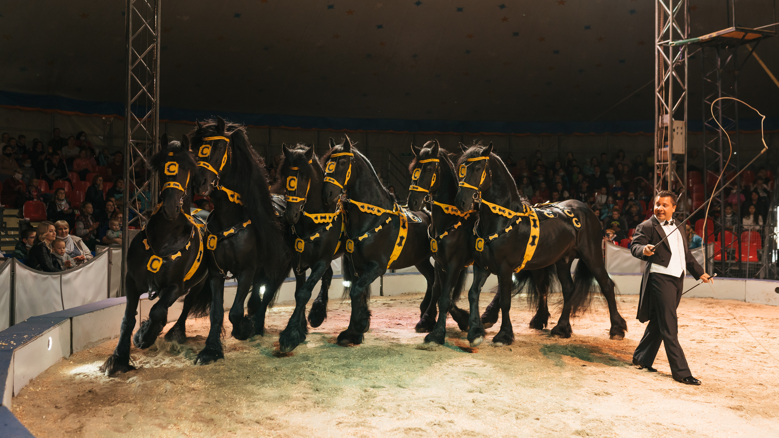 Большой московский цирк смена манежей. На арене цирка. Цифровой цирк даты выхода. Цирк на фонтанке закулисье. Санкт-петербург цирк на фонтанке клоуны.