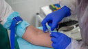Коронавирусным больным в Новосибирске начали переливать плазму крови с антителами
