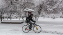 В 2021 году на Новосибирскую область могут обрушиться аномальные морозы и жаркая весна