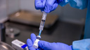В Новосибирской области расширили список категорий для обязательной вакцинации против ковида