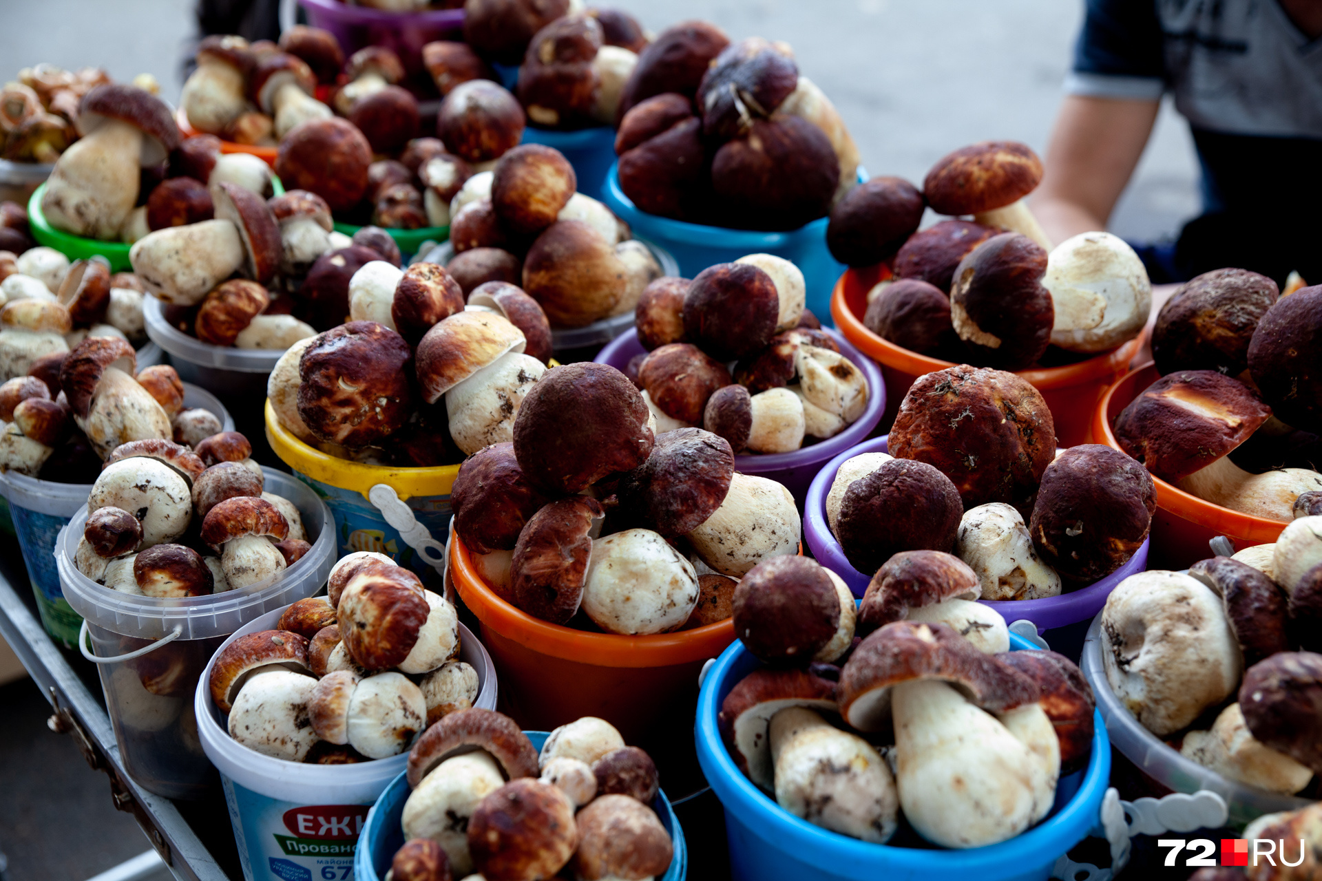 На стихийном рынке на Республики настоящее обилие белых грибов — от маленьких до настоящих гигантов 
