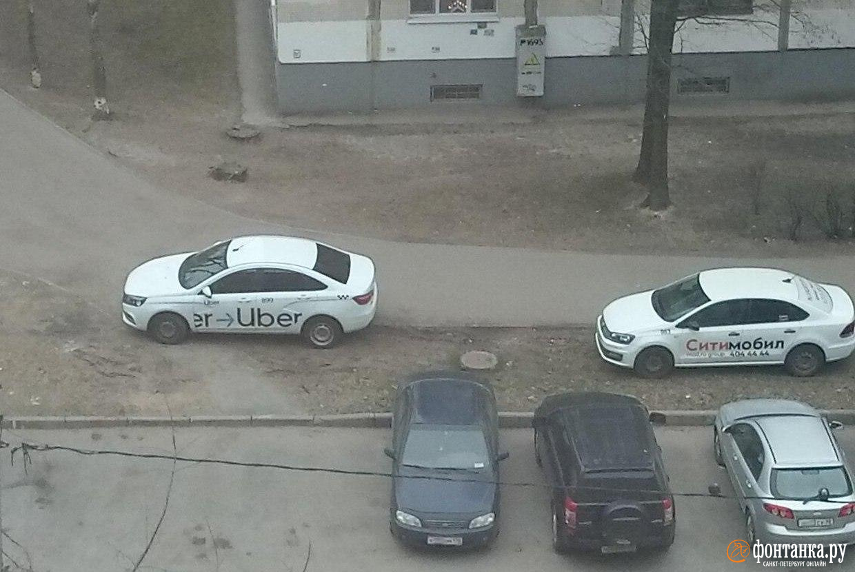 Два разных такси и полицейский «Патриот» — петербуржцы «собрали» нарушителей с газонов
