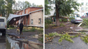 В Новосибирской области 10-минутный ураган валил деревья и сносил крыши