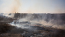 Новосибирская область оказалась первой в России по ландшафтным пожарам. Сгорело 36 «Новосибирсков»