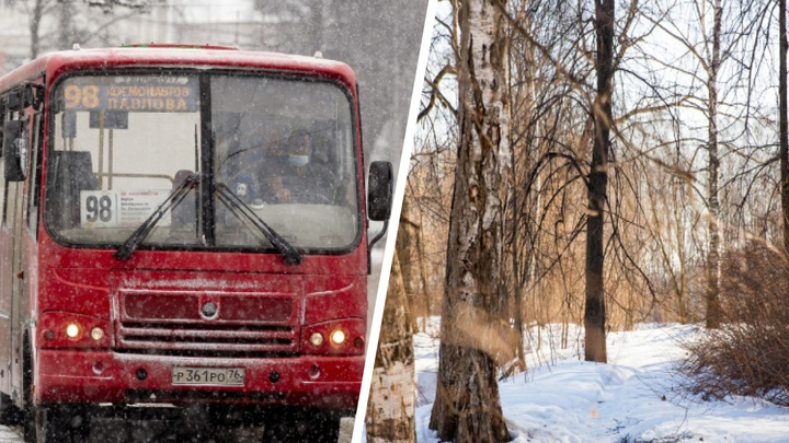 Отмена 25 маршрутов и застройка парка: что произошло в Ярославской области за сутки. Коротко
