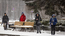 Это будет скандинавская зима: синоптики дали долгосрочный прогноз для жителей центра России
