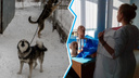 Будущая медсестра из Сибири меняет свои откровенные фото на помощь животным — она объяснила, почему