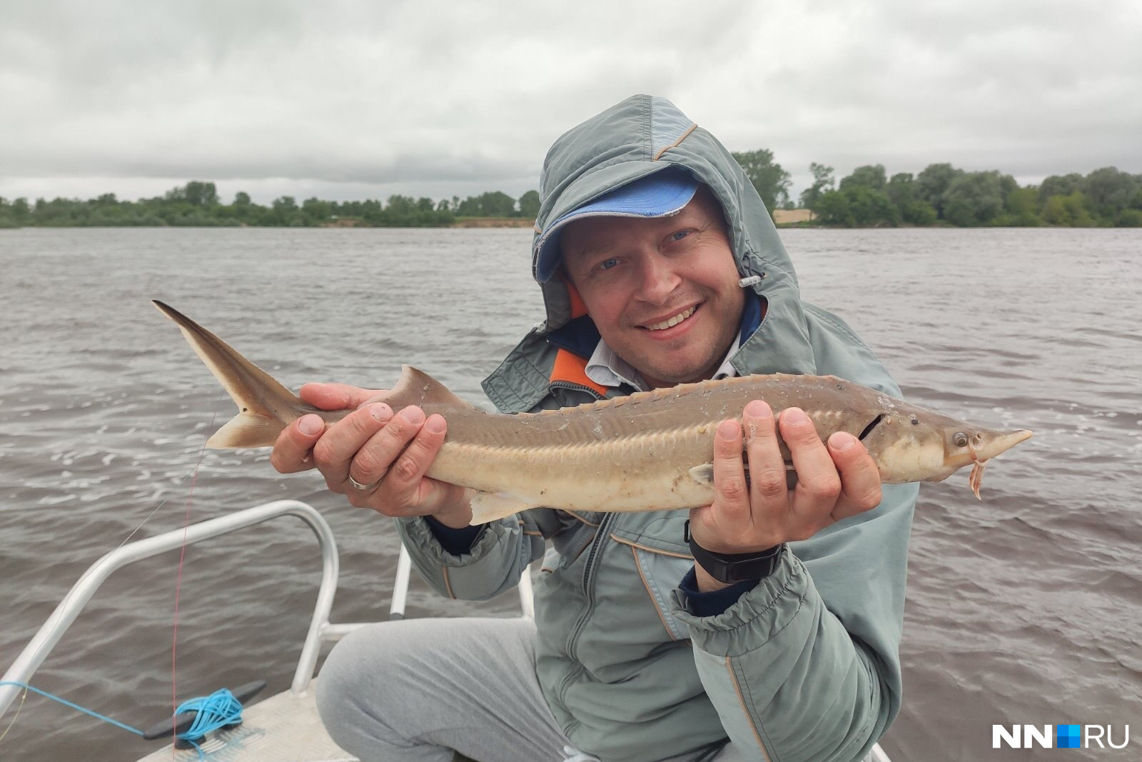Какую рыбу ловят на Волге - полезная информация о растительности и населении реки Волга