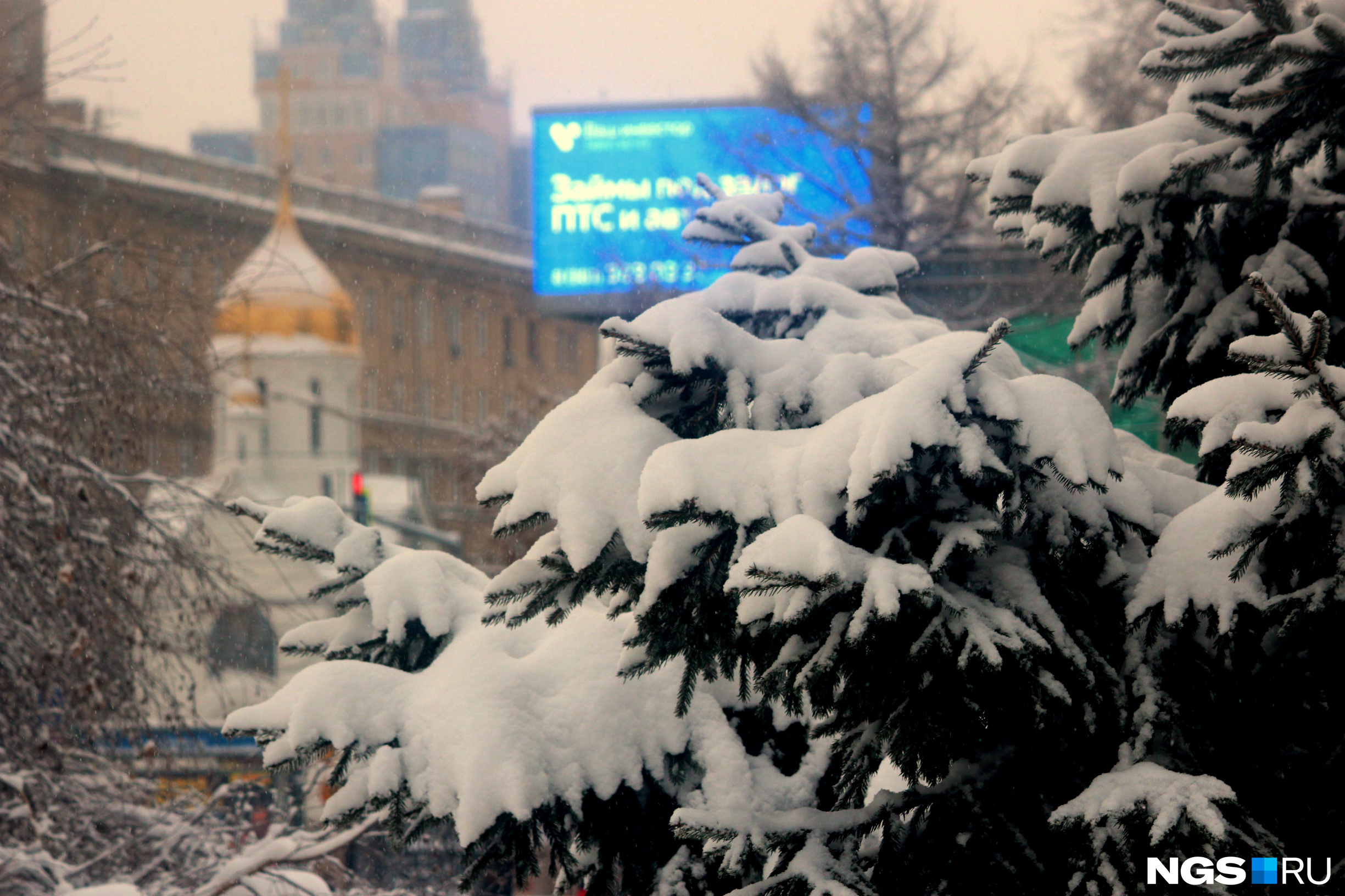 Засыпаны снегом ели. Снег в Новосибирске. Засыпало снегом. Первомайский сквер Новосибирск зимой. Новосибирск зимой много снега.