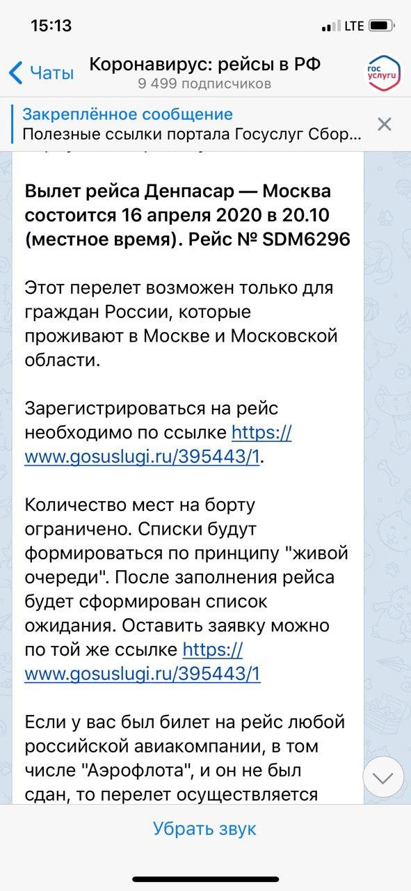 Сообщение в чате для туристов о том, что на самолет берут только москвичей и жителей Московской области Сообщение в чате для туристов о том, что на самолет берут только москвичей и жителей Московской области