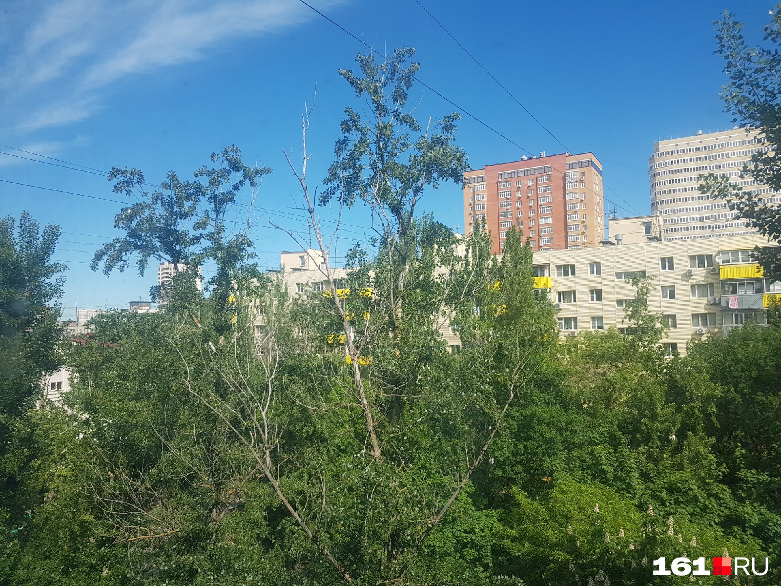 Сегодня в Ростове солнечно