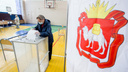 На голосовании по Конституции избиратели пытались вынести бюллетени с участка в Челябинской области