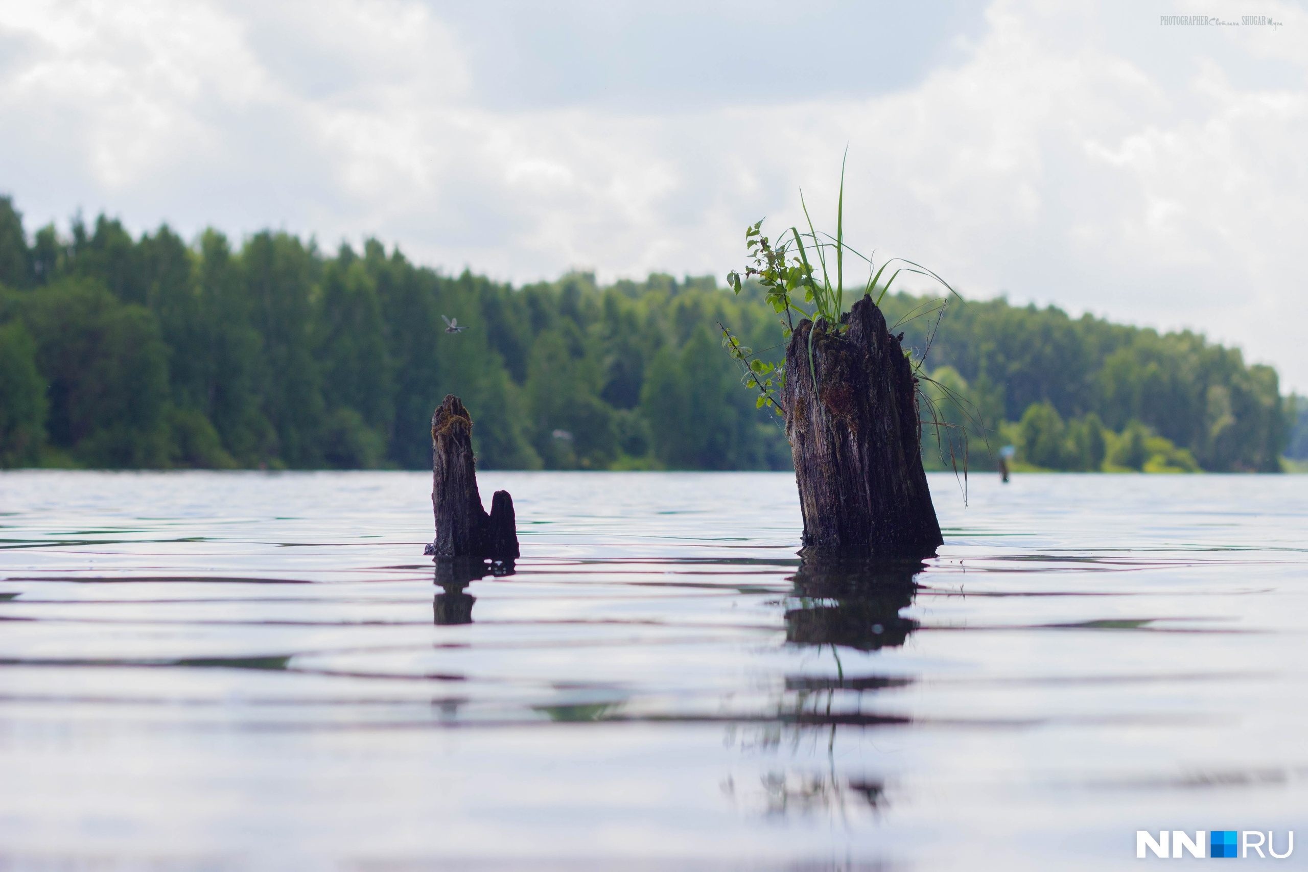 Озера для отдыха и купания в Нижегородской области: куда поехать отдохнуть  из Нижнего Новгорода на машине - 30 июня 2020 - nn.ru