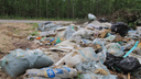 Директора «ЭкоИнтегратора» оштрафовали на 2 тысячи рублей за невывоз мусора в Верхнетоемском районе
