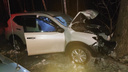 «Ниссан» на скорости врезался в дерево в Заельцовском районе — женщина-водитель погибла на месте