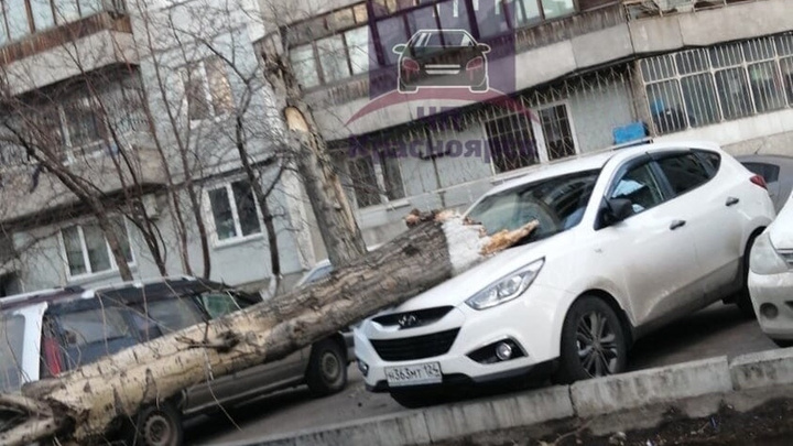 Падают заборы, крыши и деревья: в Красноярске ветер крушит все подряд