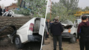 Ветер в Ростовской области обрушил дерево на иномарку. Двое погибли