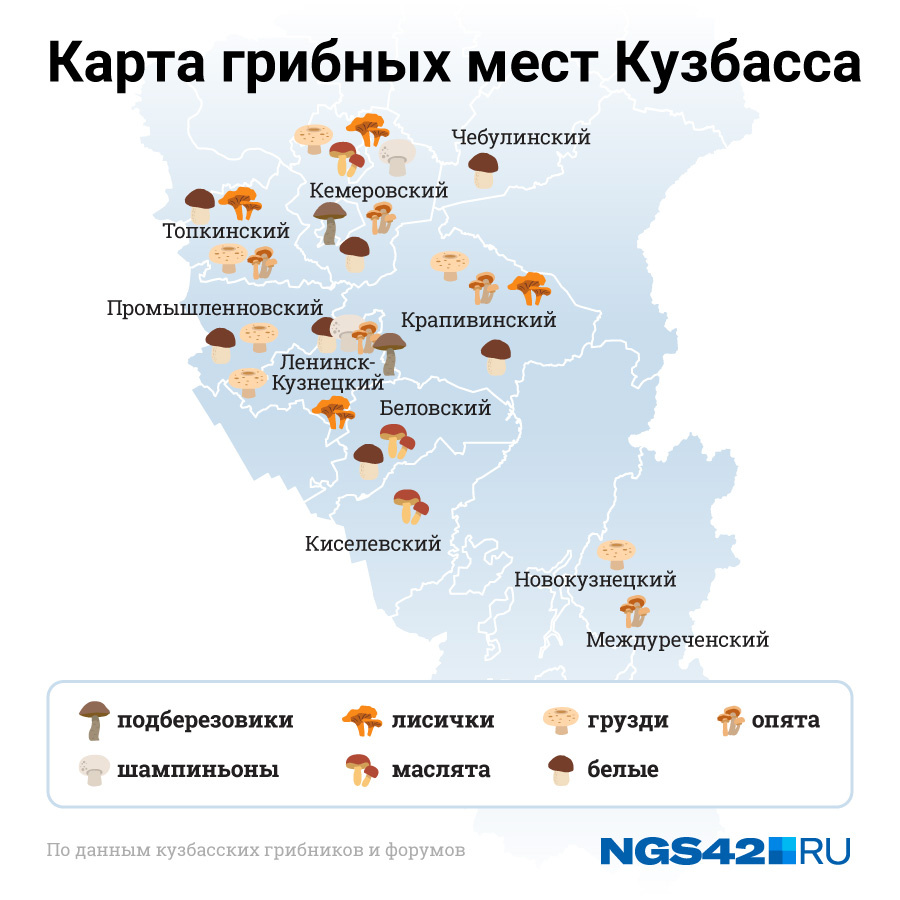 Где собирать грибы в крыму сейчас карта