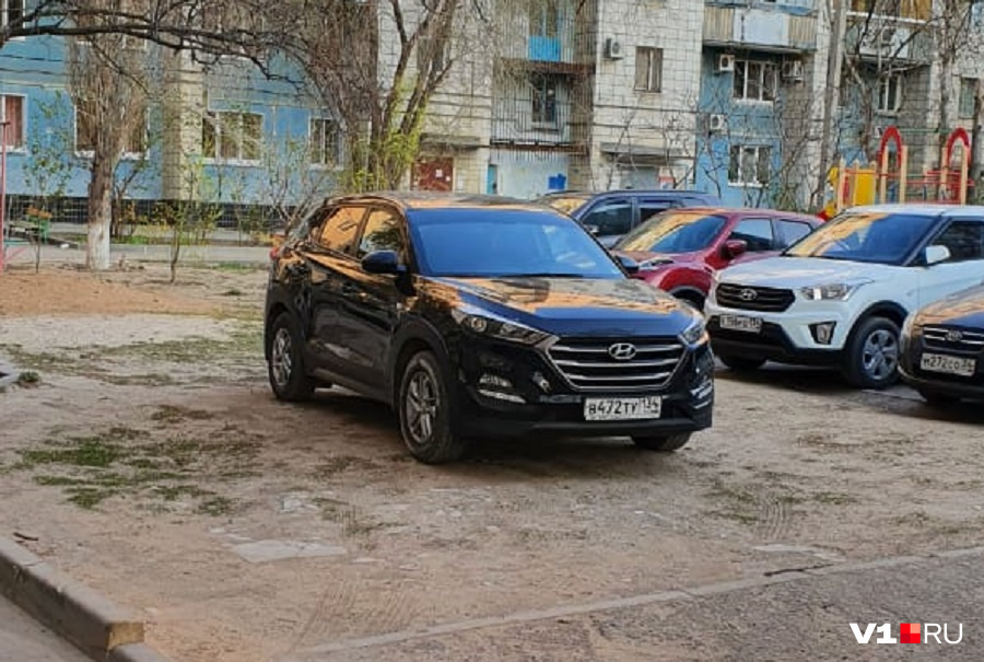 Свободно и просторно на газоне Свободно и просторно на газоне
