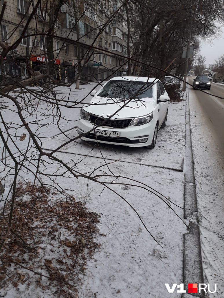 Ни пешеходам не мешаю, ни машинам
