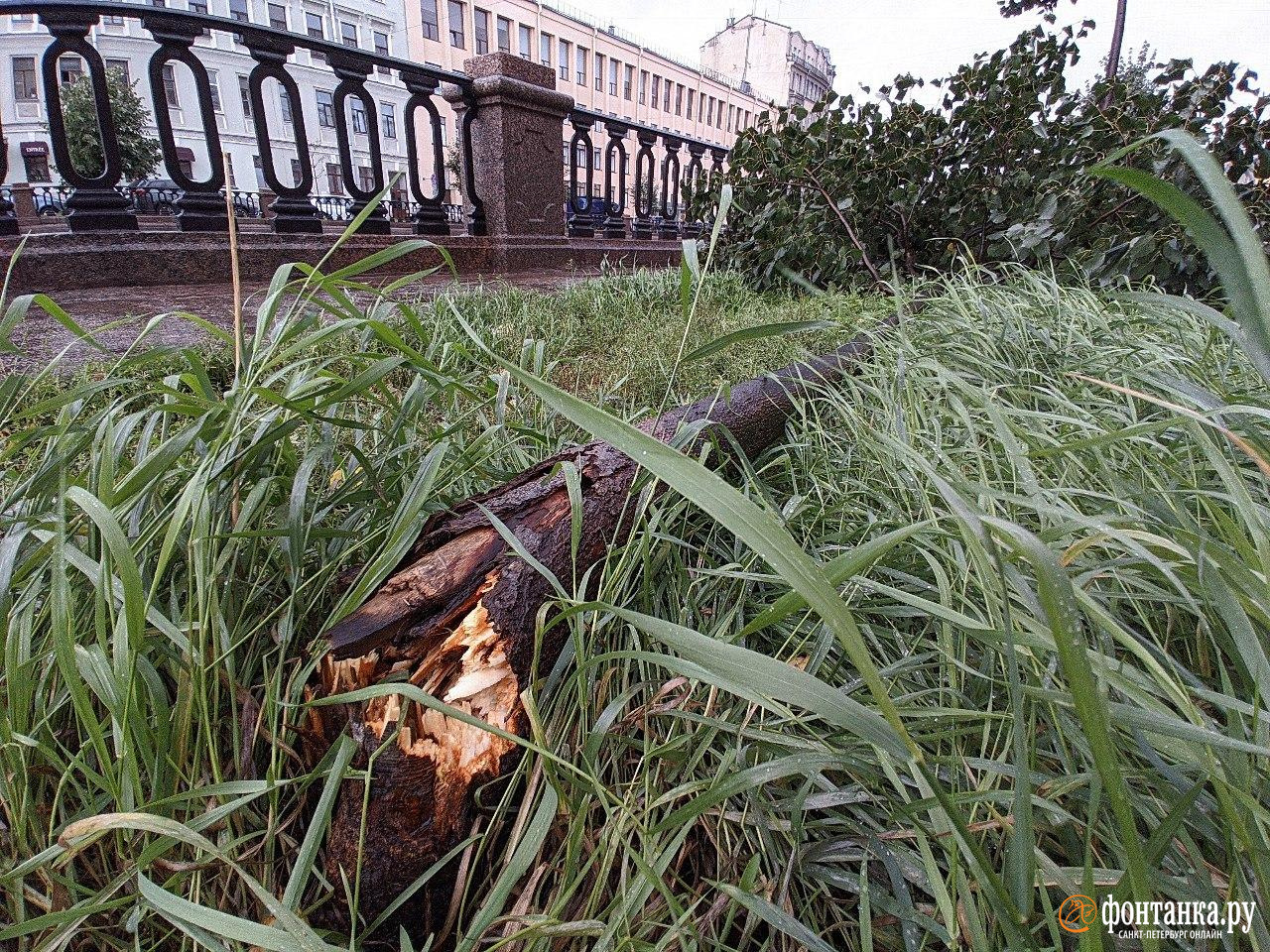 Фонтанка ру новости сегодня. Шторм в СПБ. Шторм в Питере сейчас. Шторм в Петербурге вчера. Ураган в СПБ 10 сентября 2020.