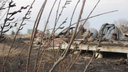 «Всем аулом воду таскали»: под Новосибирском сгорели 80 построек — репортаж с места ЧП