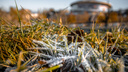 Укрывайте рассаду: в Самарской области ожидаются заморозки до -2 °С