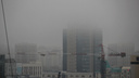Новосибирск окутало плотной дымкой. И это не туман — 5 мрачных кадров