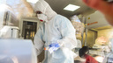 Ещё 65 человек заболели коронавирусом в Новосибирской области