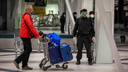 Росавиация сообщила о вывозных рейсах из Вьетнама и Таиланда в Новосибирск