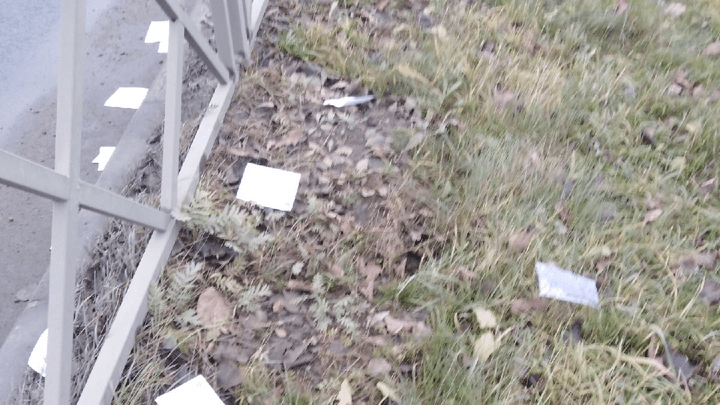 «Ждите, господа, свои посылки»: в Ярославле на дорогу высыпались десятки почтовых извещений