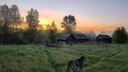Туманный рассвет и банные веники. 10 кадров настоящей деревни с берегов Керженца