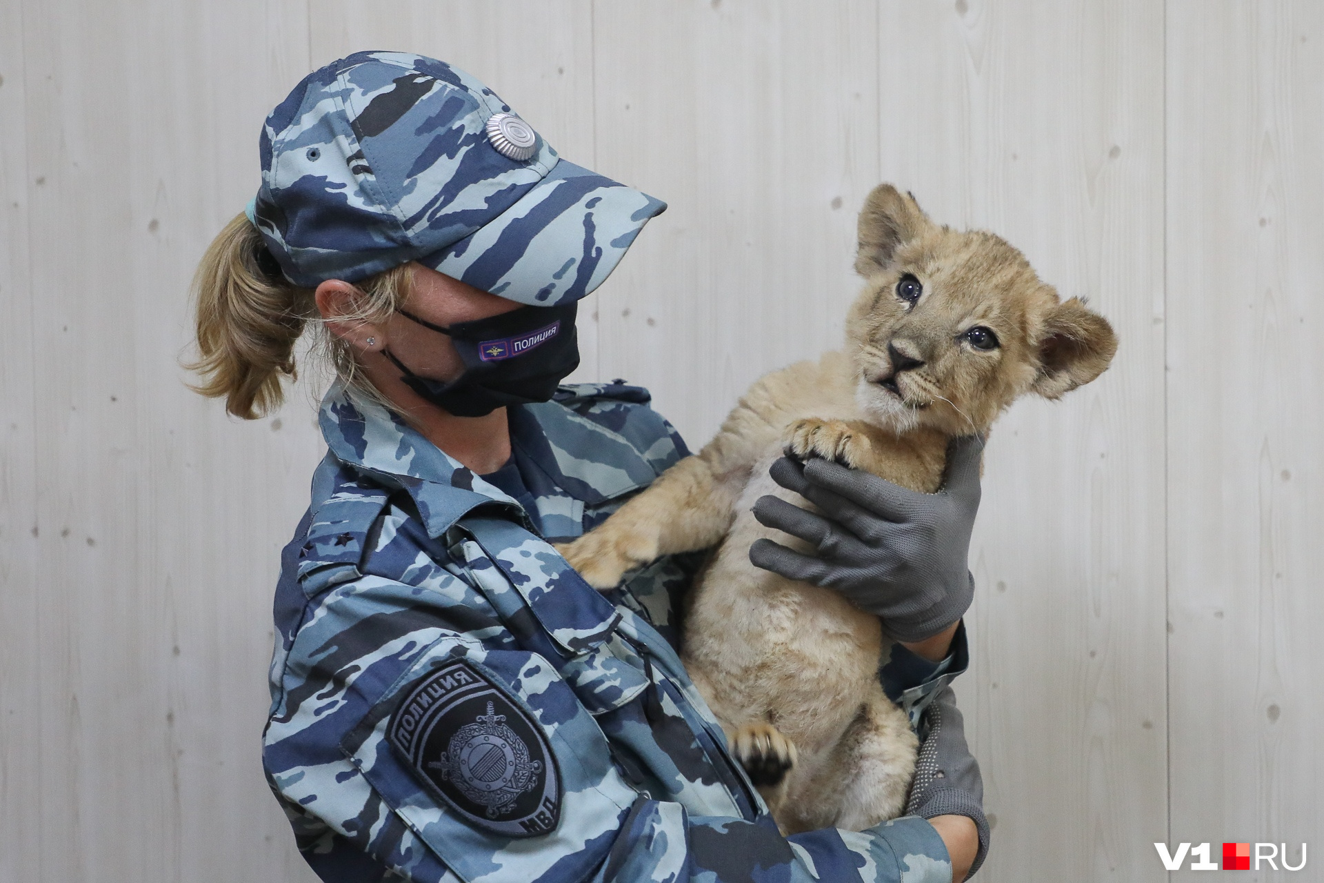 Ты ехал в автобусе, такой маленький, а без маски, без перчаток! Неужели ты не читал постановления нашего губернатора? Ты ехал в автобусе, такой маленький, а без маски, без перчаток! Неужели ты не читал постановления нашего губернатора?