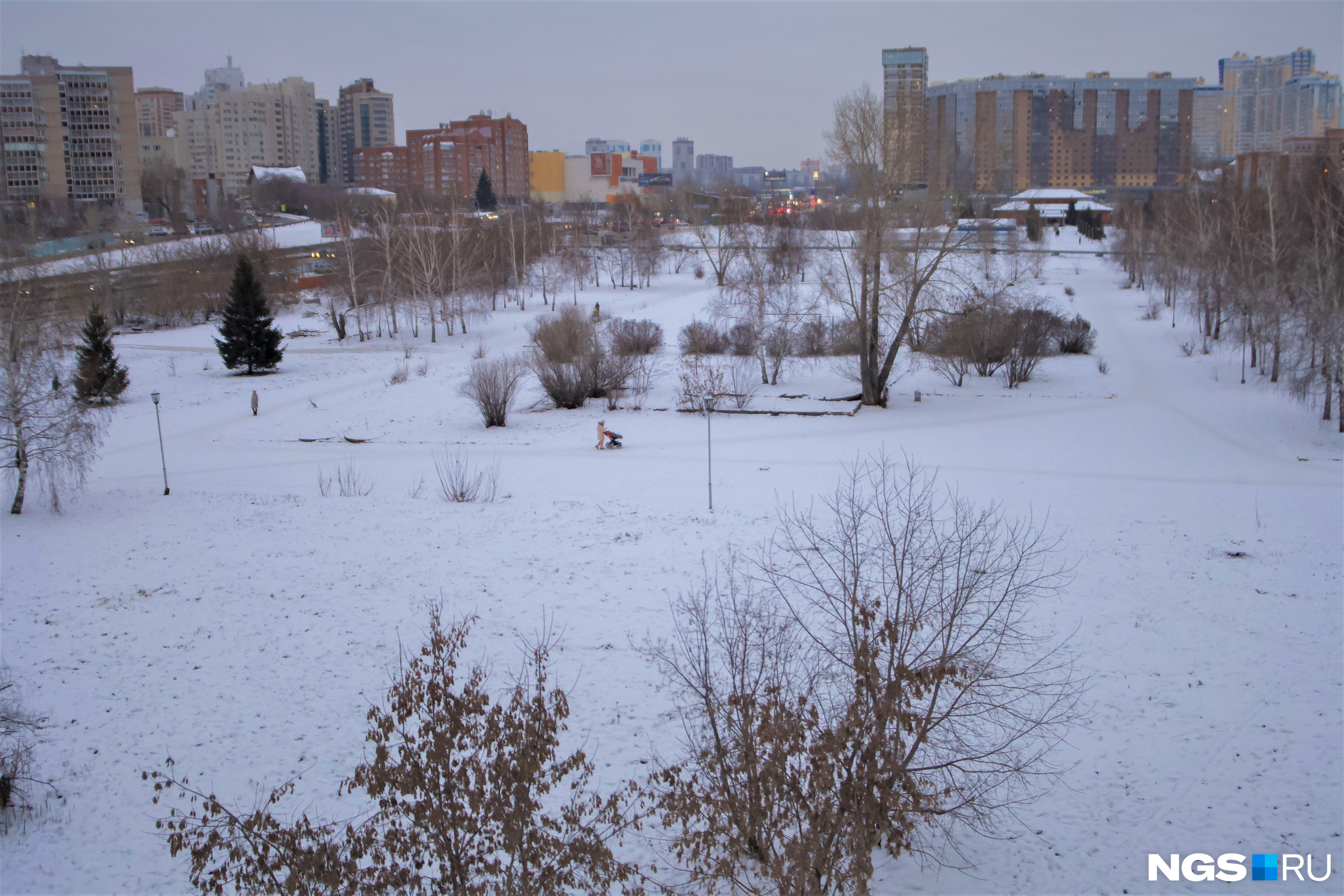 Сибирь хоккайдо новосибирск. Каток Хоккайдо в Новосибирске. Сибирь Хоккайдо каток. Хоккайдо школа Новосибирск.