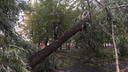 Метеорологи установили скорость ветра, который разнёс Металлургический район Челябинска