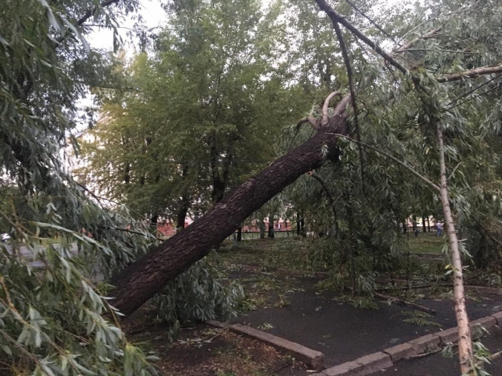 Неделю назад ураган в Челябинске повалил более 250 деревьев