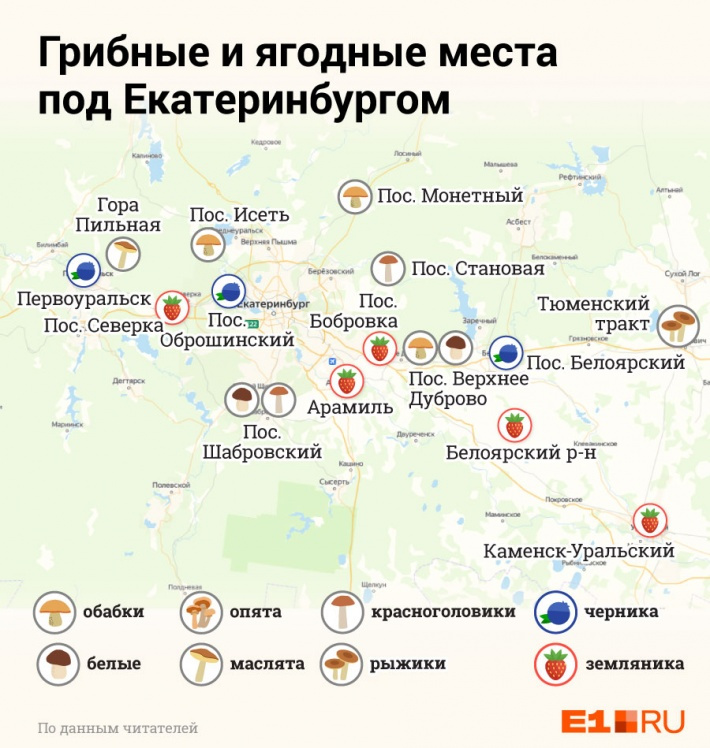 Карту грибных и ягодных мест мы <a href="https://www.e1.ru/news/spool/news_id-69360391.html" target="_blank" class="_">составляли месяц назад</a>