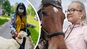 Обнимашки с лошадьми и фото с борщевиком: редакция 29.RU делится самыми яркими снимками лета-2020