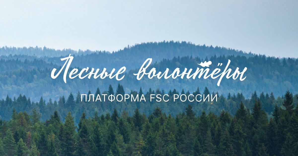 Платформа запущена FSC России при поддержке Группы компаний «Титан»*