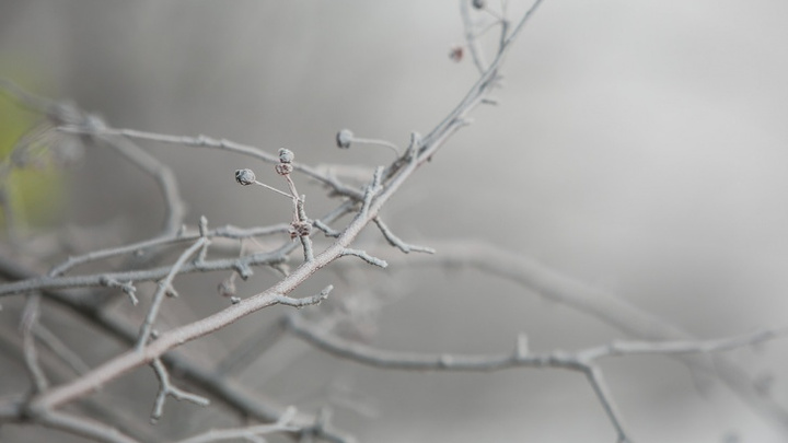 Потеплеет и засыпет снегом: погода в Красноярске на ближайшие выходные